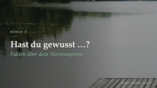 Bonus: Hast du gewusst …?